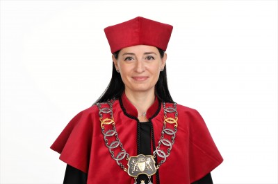 prof. AEH dr hab. Anna Llanos-Antczak